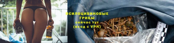 COCAINE Краснослободск
