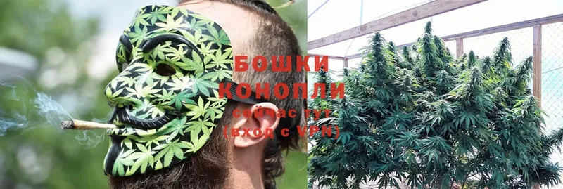 где можно купить наркотик  Орлов  МАРИХУАНА Ganja 